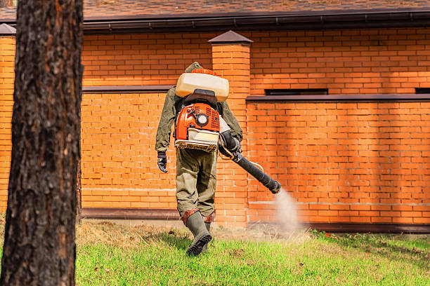 Trusted Termite Control service in Ko Olina, HI - Nex Pest Control